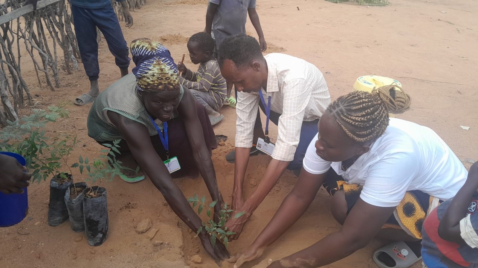 Climate Action program